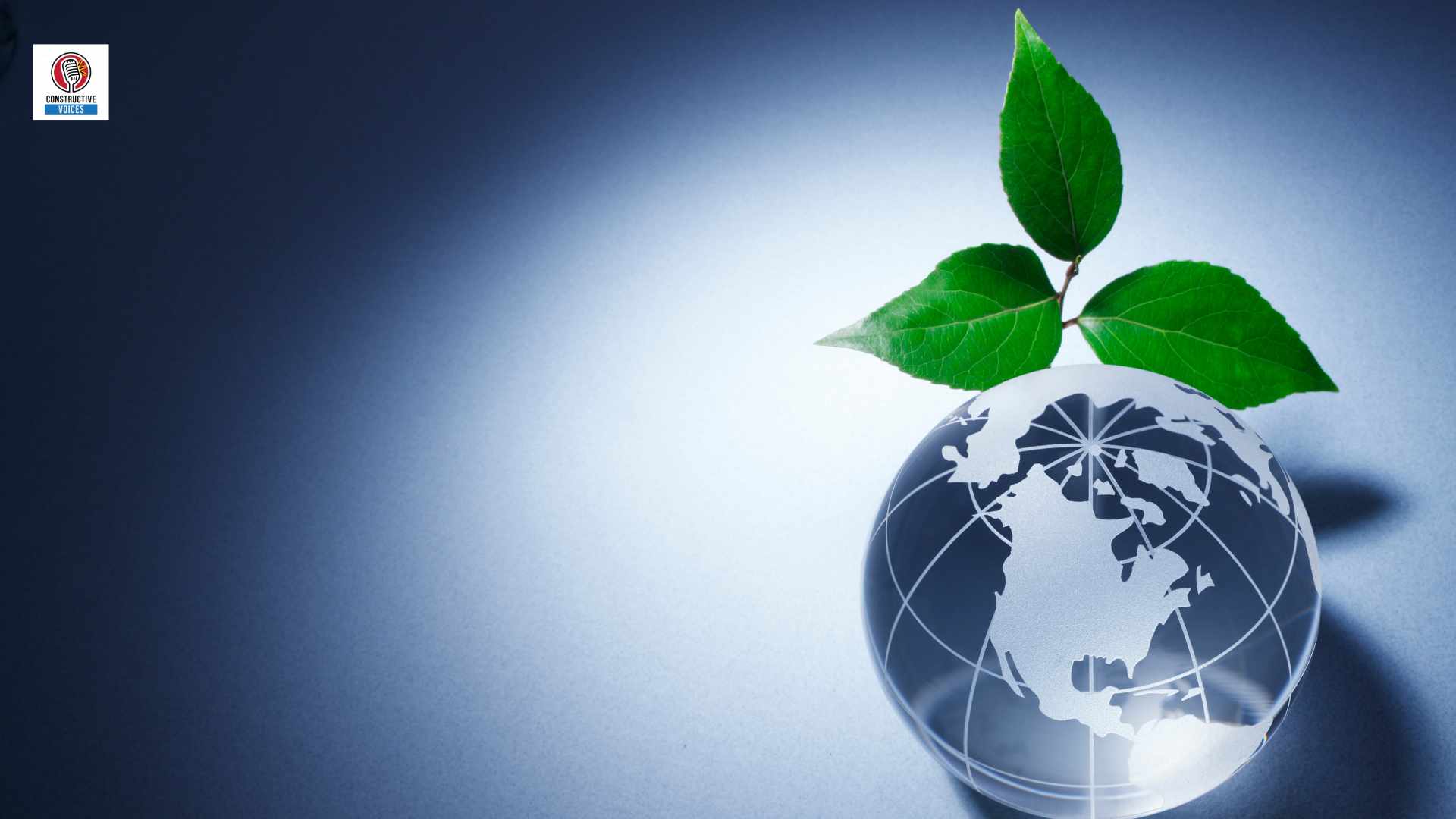 Digital Environmentalism 