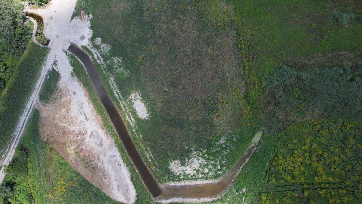 Mossy Earth wetlands restoration Danube