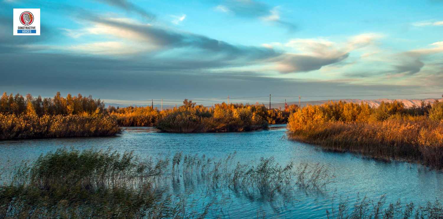 urban growth wetlands