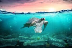 Episode 19: Can This Organisation Eliminate Or Greatly Reduce Plastic Within The Construction Industry? Henry Interviews Wendy Jones and Neal Maxwell of Changing Streams