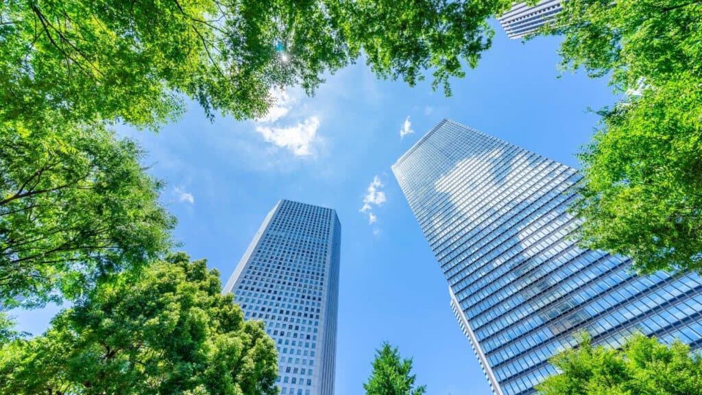 Resilient Cities: How Can Cities Adapt for Climate Change Effects?