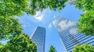 Resilient Cities: How Can Cities Adapt for Climate Change Effects?