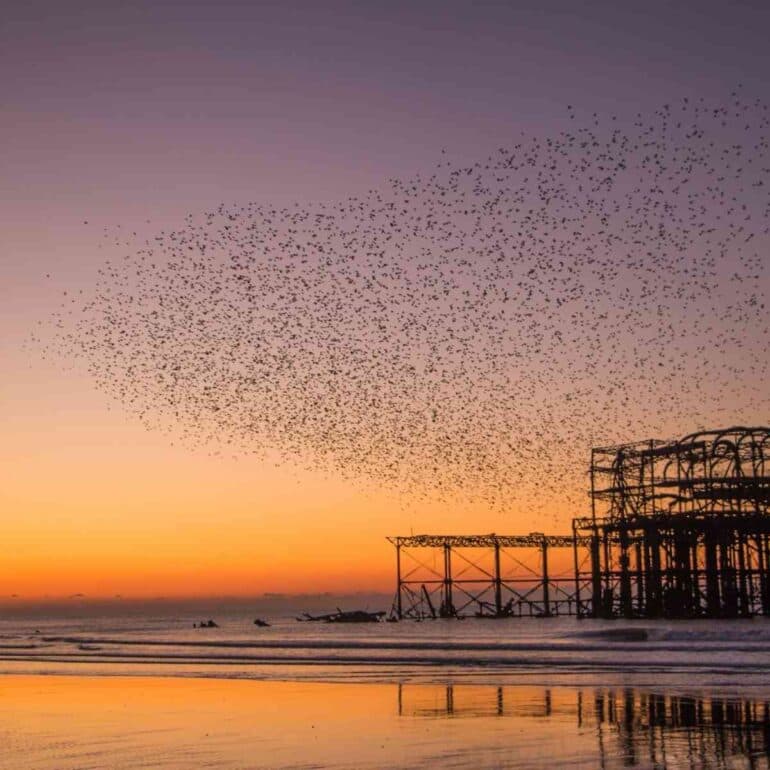 Brighton Leading the Way to a Net Zero Future
