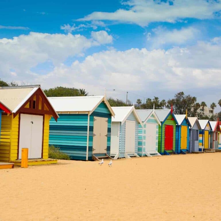 Brighton Councillor Urges Central Government to be More Ambitious in Their Net Zero Policies and Delivery