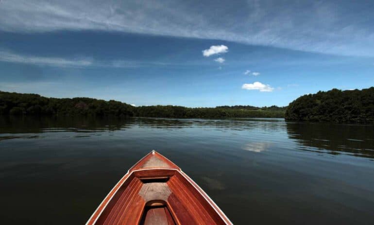 Brunei Biodiversity: Animal and Plant Species and What Is Under Threat