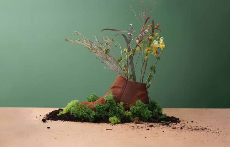 Biodiversity Loss: A Silent Health Crisis