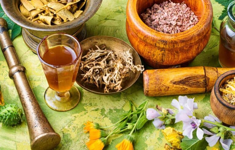 Biodiversity and Medicine: The Hidden Pharmacy in Our Ecosystems