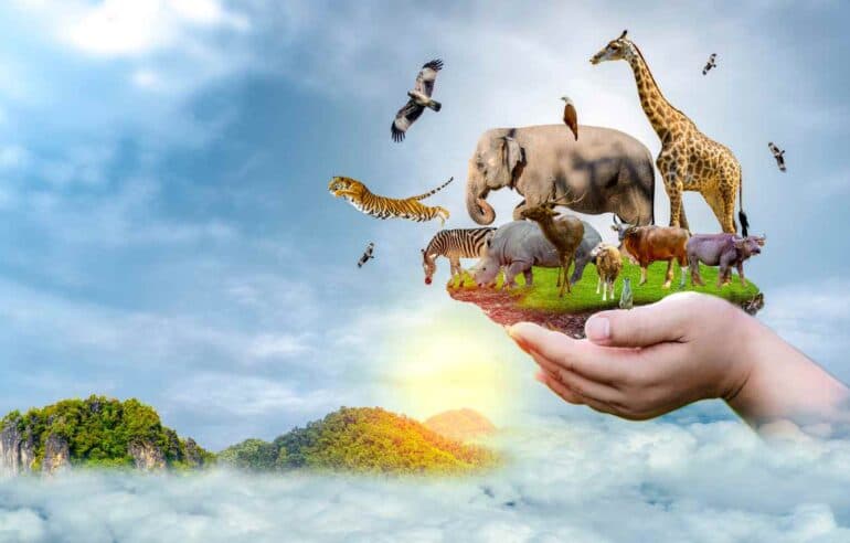 Biodiversity Net Gain: Enhancing Wildlife Habitats