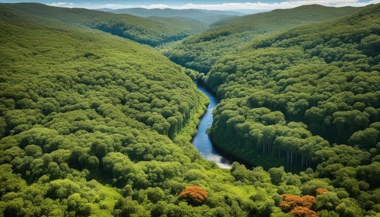 Uruguay Biodiversity: Animal and Plant Species and What Is Under Threat