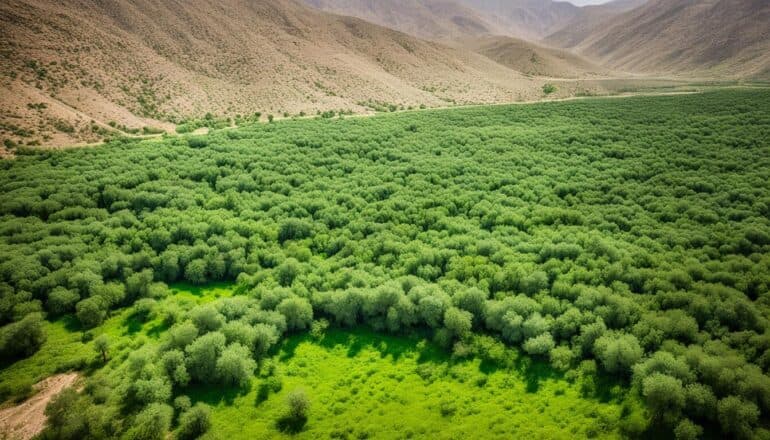 Iraq Biodiversity: Animal and Plant Species and What Is Under Threat