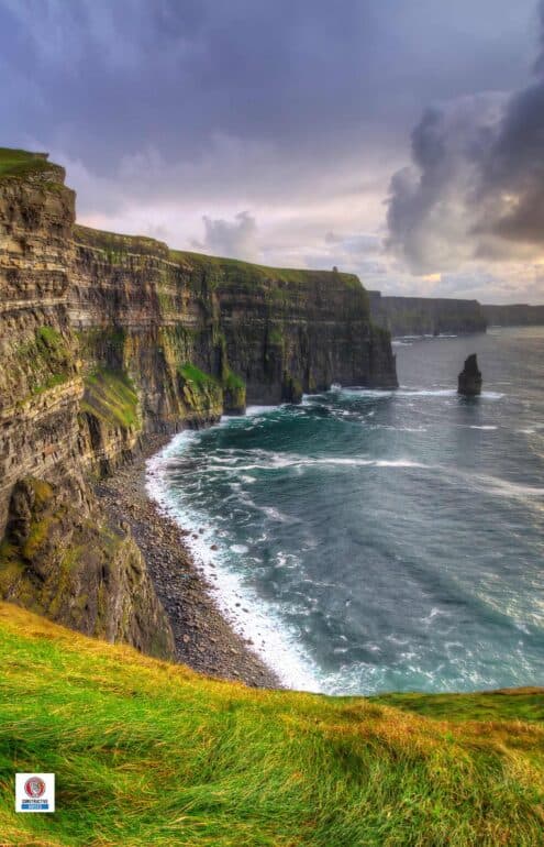 Ireland Biodiversity: Animal and Plant Species and What Is Under Threat