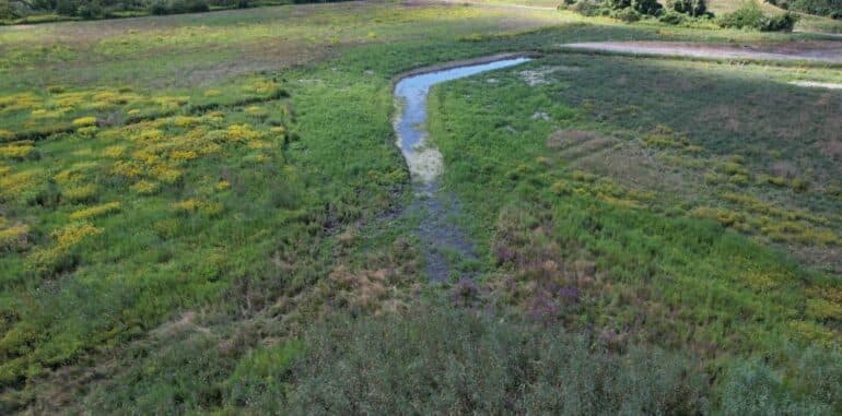 S3, 11: Newsflash: Wetlands Restoration & Recording Breaking Temperatures