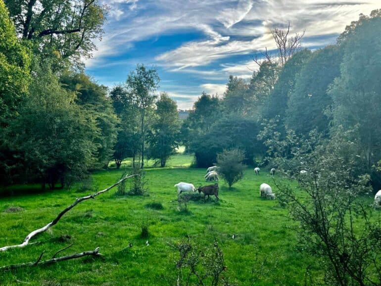 Enfield: A Hidden Gem of Beauty, Sustainability, and Innovation