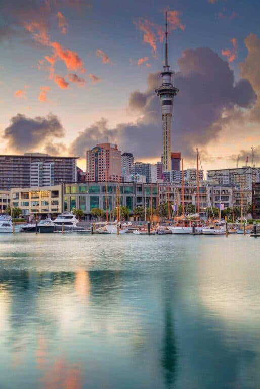 What Are Sponge Cities? Auckland Has 35% Sponginess