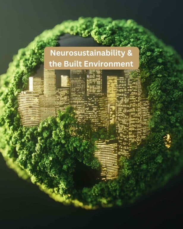 What is Neurosustainability?