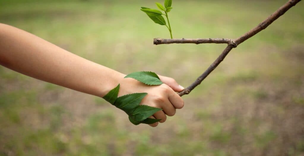 Small Developers, Net Gain and Planning with Biodiversity in Mind