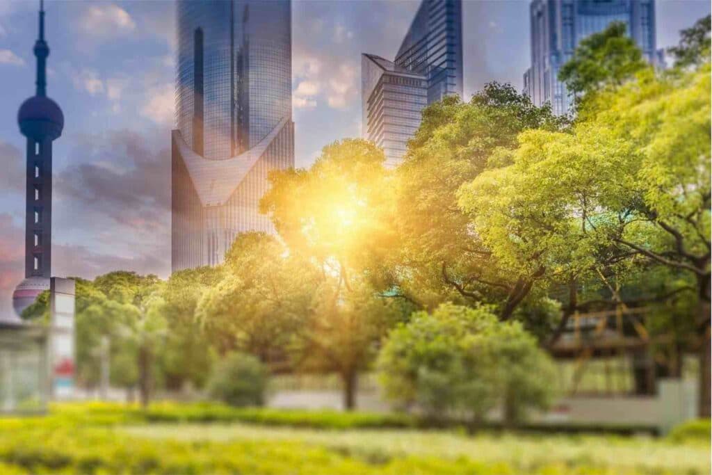 Biodiversity in the Built Environment