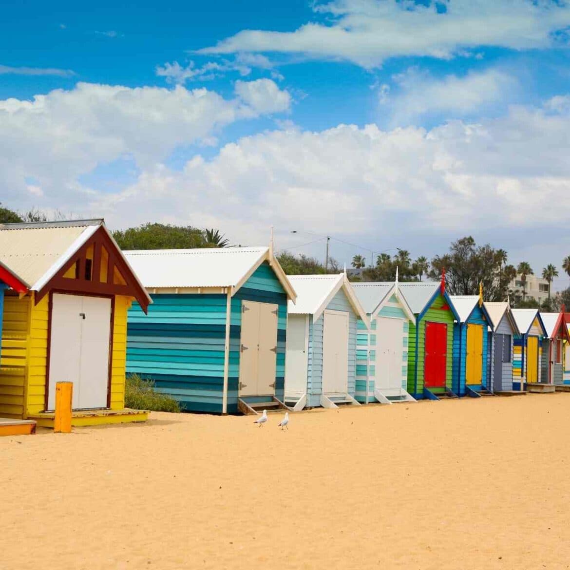 Brighton Councillor Urges Central Government to be More Ambitious in Their Net Zero Policies and Delivery