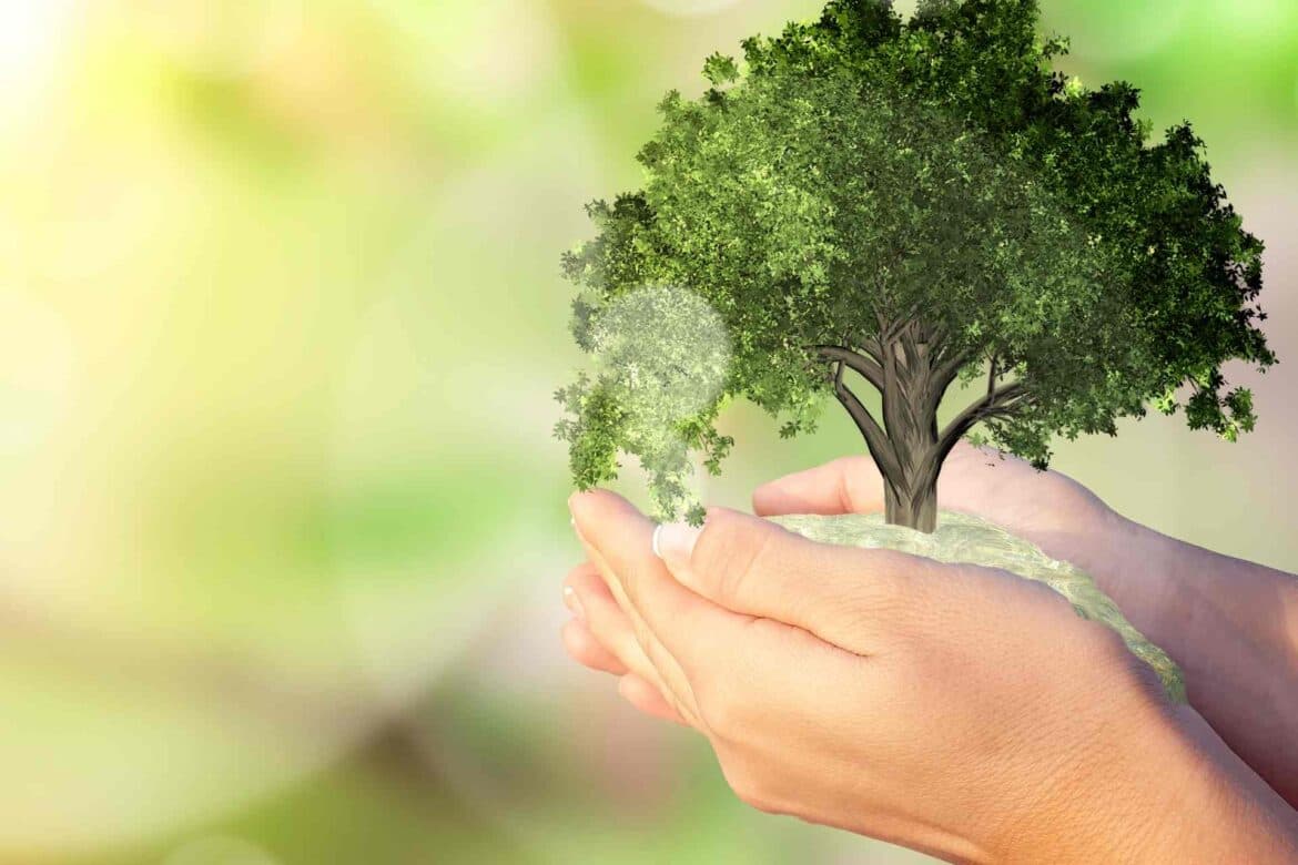 S2, E10: Biodiversity Net Gain With Sustainability Lawyer, Ben Stansfield