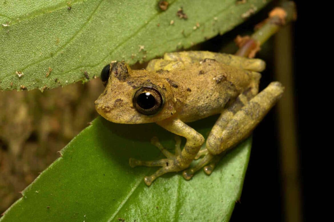 Are you ready for Biodiversity Net Gain?