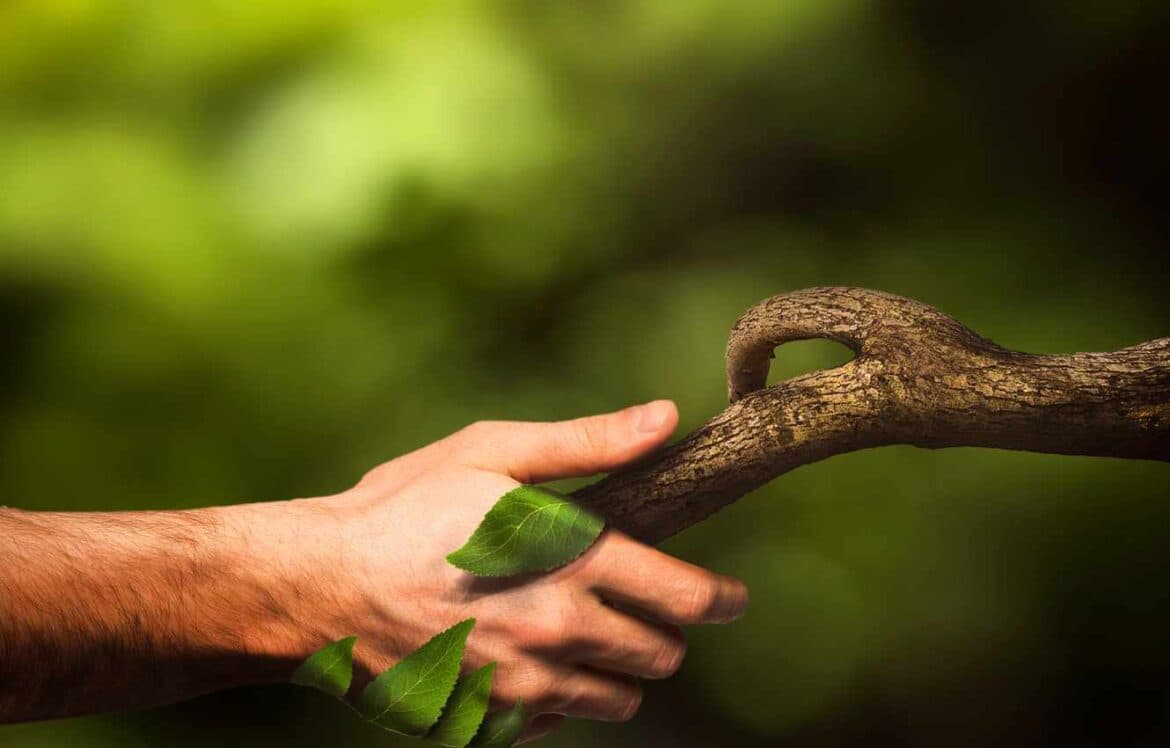 Biodiversity Net Gain Training Online With Top Experts