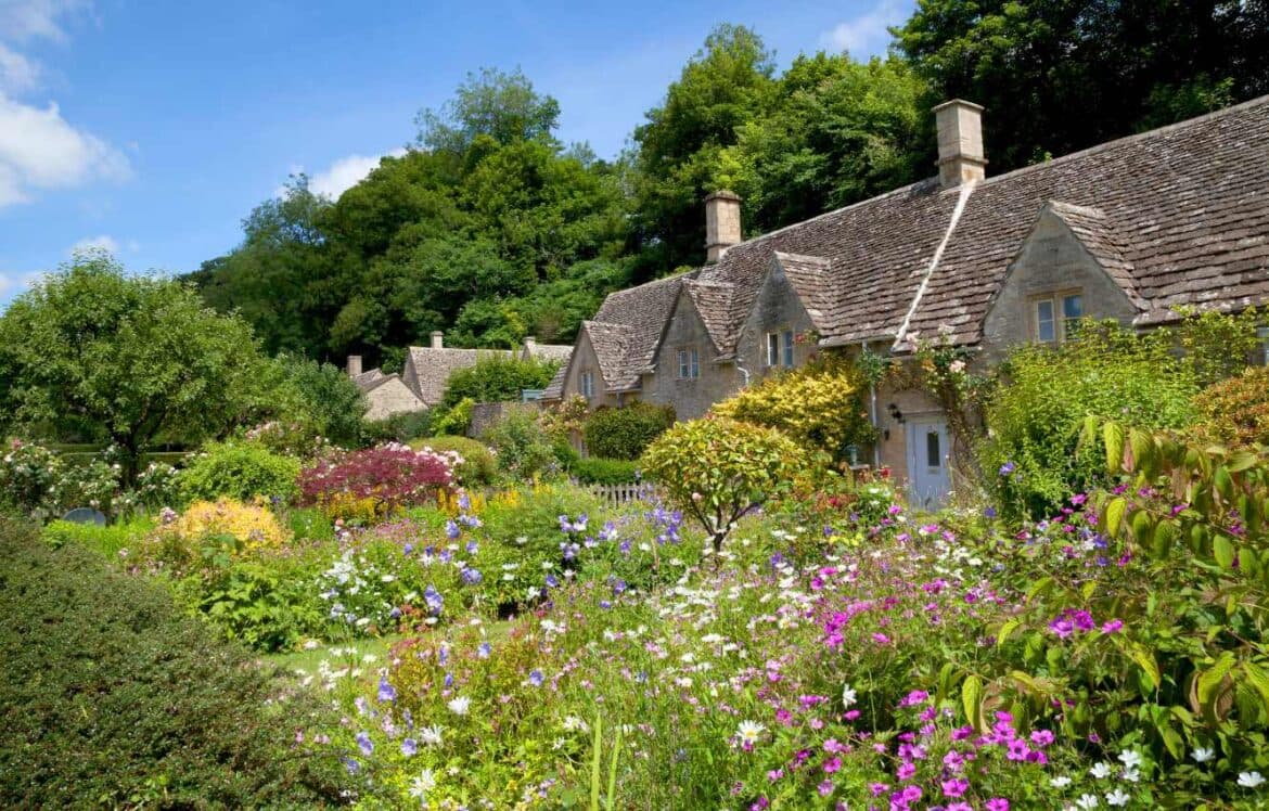 Biodiversity Net Gain Regulations: Impact on Developers
