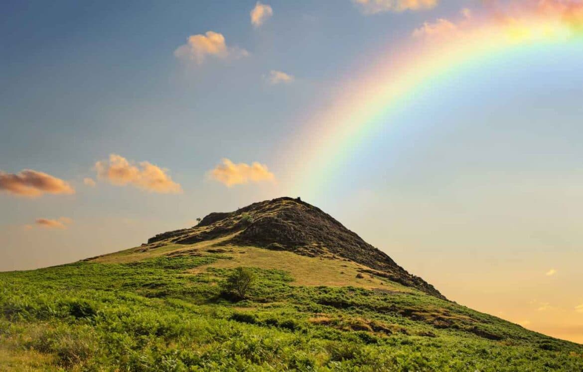 Effective Ecological Mitigation Strategies for Development Projects