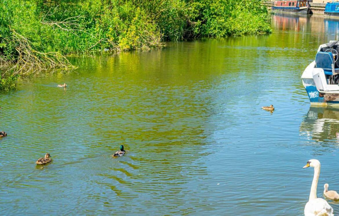 Efficient Planning for Nature and People in Development Projects