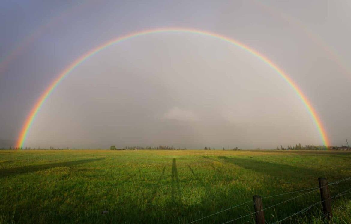 Exploring Offsite Biodiversity Net Gain: A New Perspective