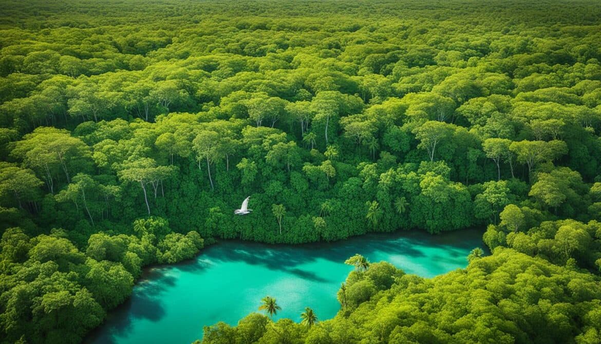 Belize Sacred Natural Sites and Biodiversity