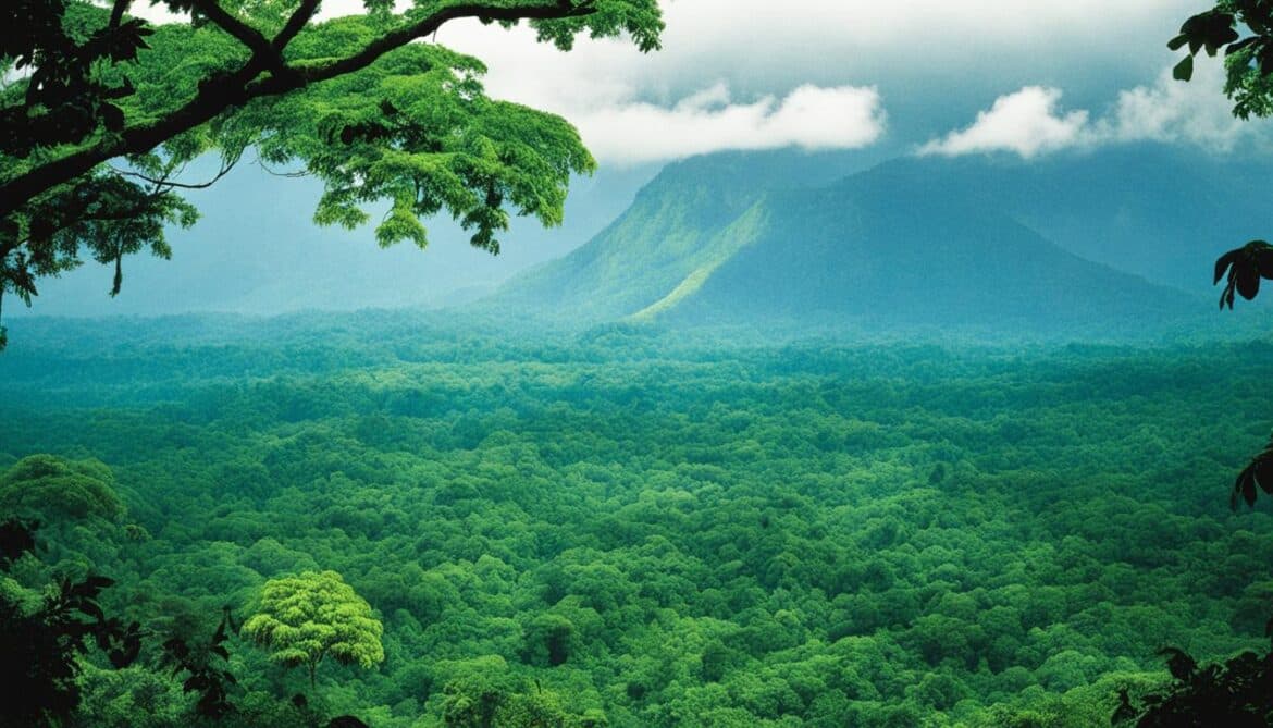 Democratic Republic of the Congo Sacred Natural Sites and Biodiversity