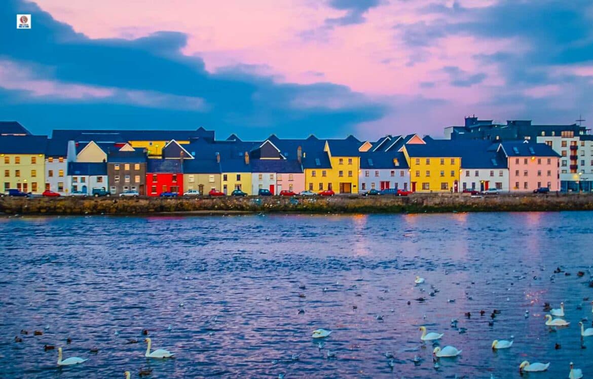S3, E5 Dr Ciaran Byrne, Director, S.E.A.I. on Ireland's Retrofitting Success Stories, Challenges & Opportunities