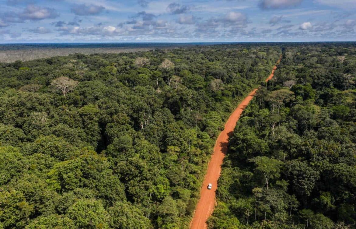 Pioneering Public-Private Collaboration Celebrates 25 Years of Biodiversity Conservation in the Republic of Congo