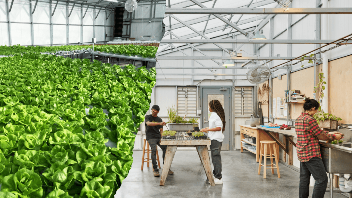 S3, E17: Designing for a Healthier Tomorrow: Sustainable Greenhouses with Josh Holleb of Ceres