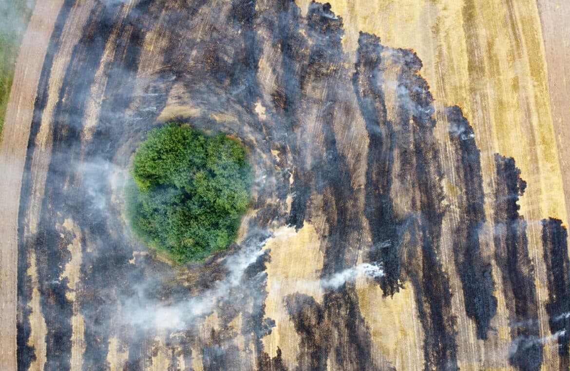 Mapping Climate Change: How Geospatial Tools Drive Action