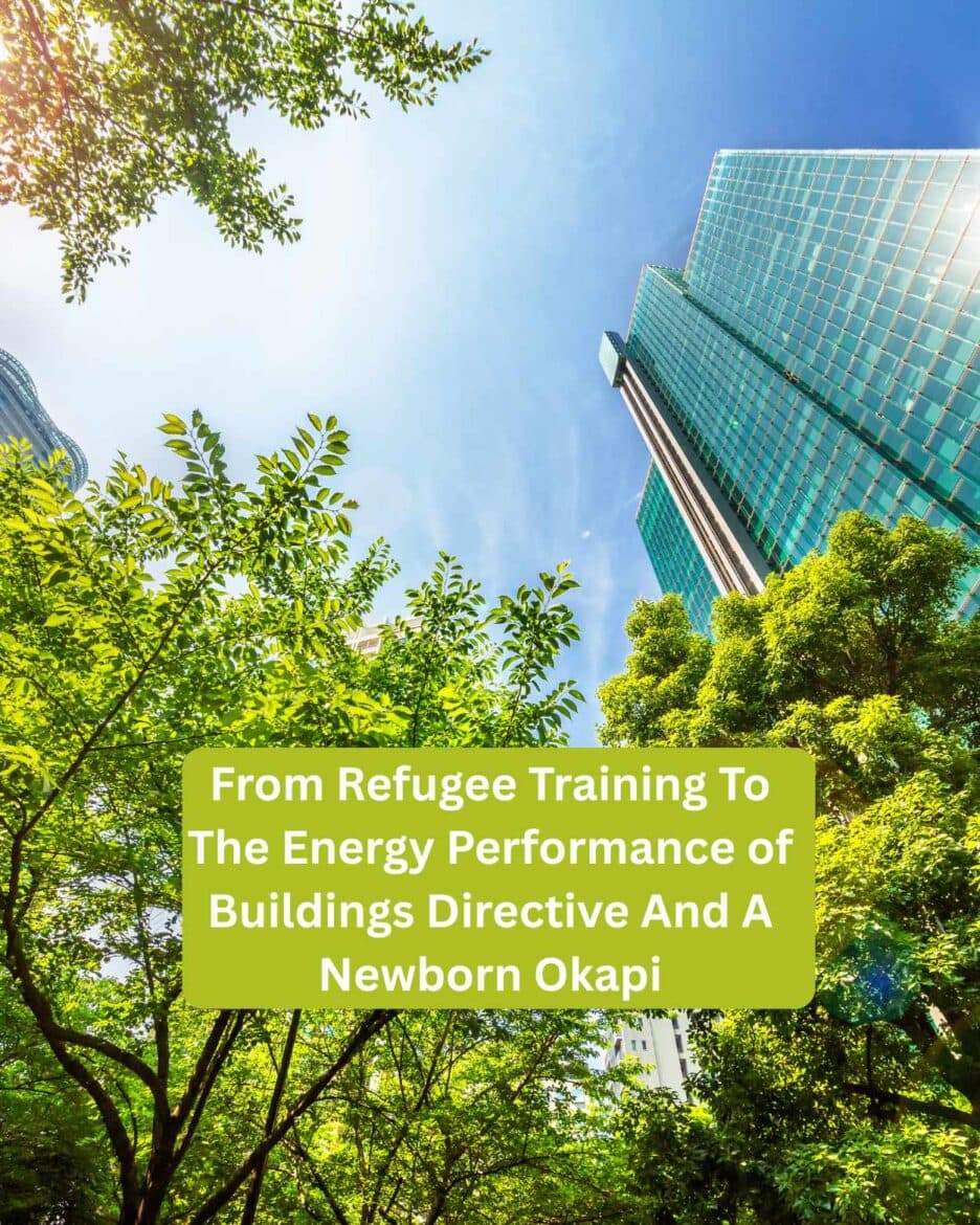 S4, E15: From Refugee Training To The Energy Performance of Buildings Directive And A Newborn Okapi