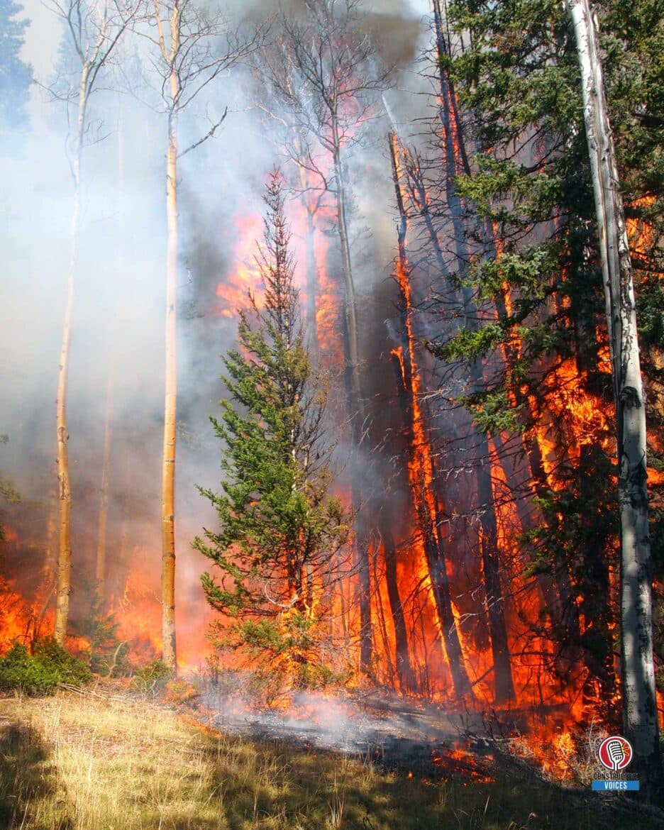 The Hidden Neurological Toll of Wildfires