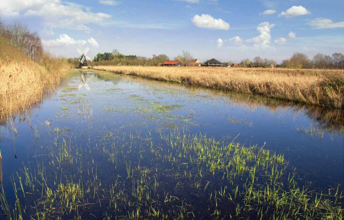 Biodiversity Net Gain for Local Planning Authorities