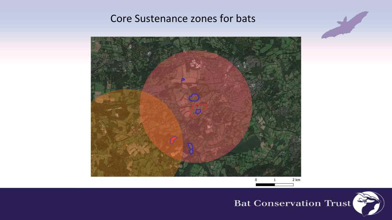 CS zones image 4