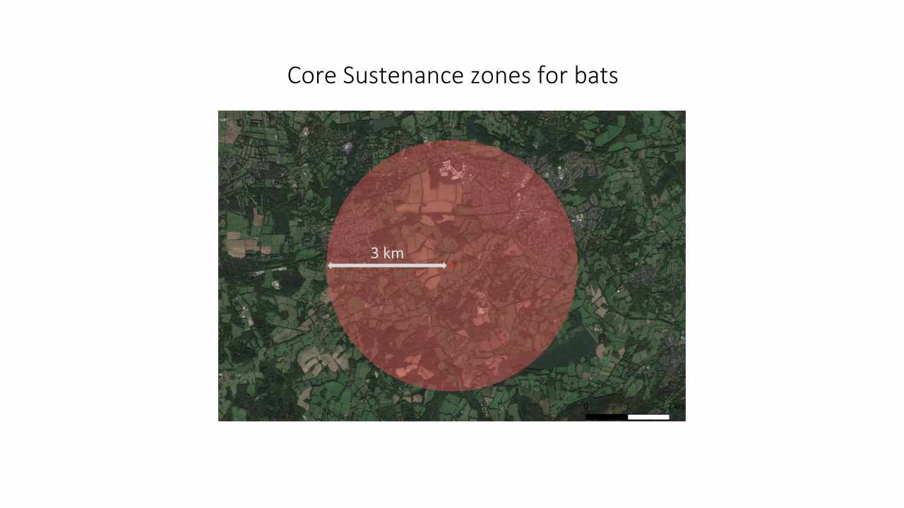 Core Sustenance zones for bats
