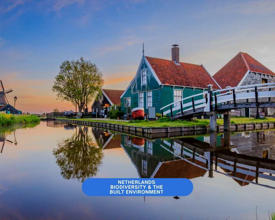 Netherlands Biodiversity and the Built Environment