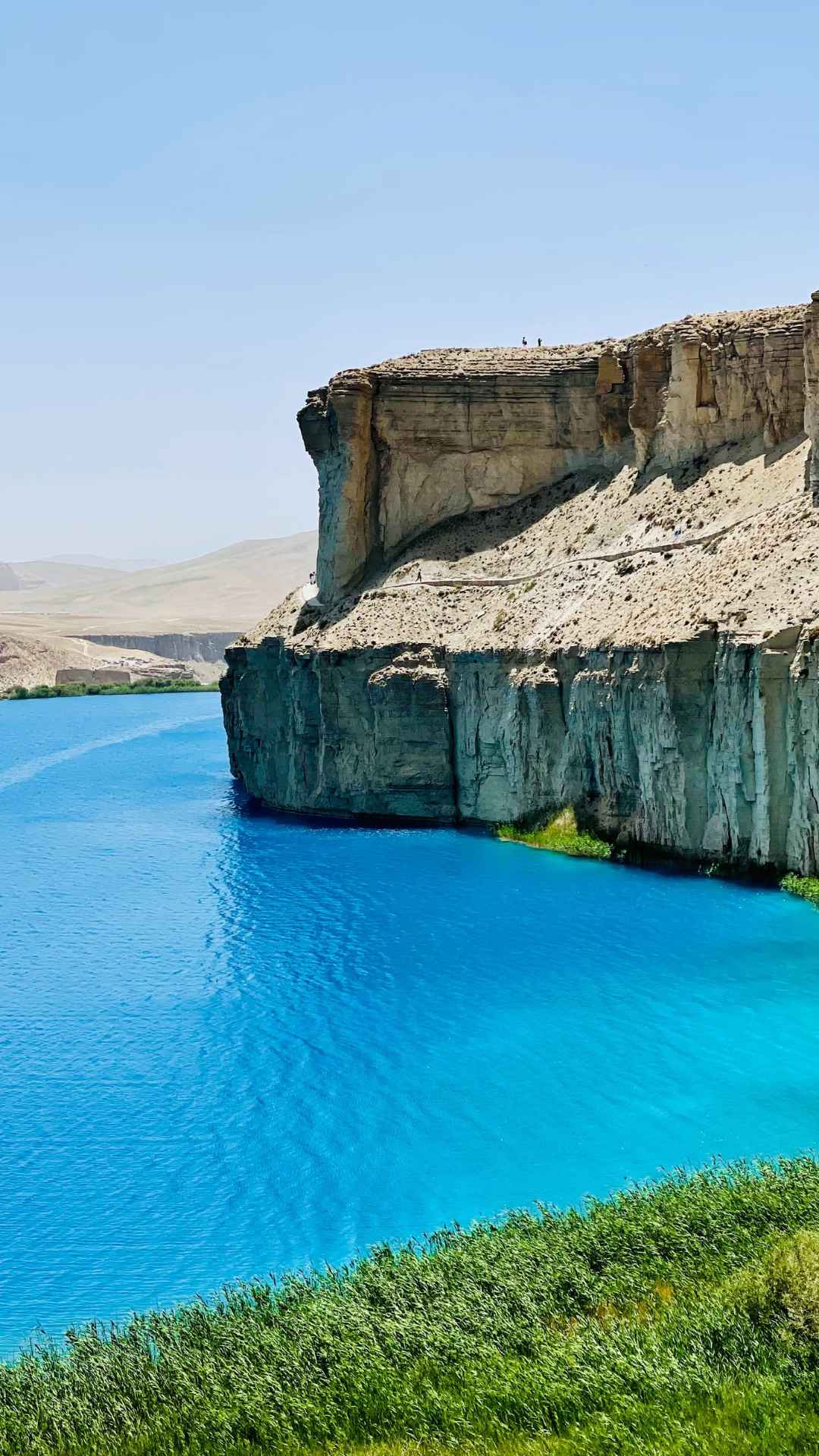 Afghanistan biodiversity — animal and plant species