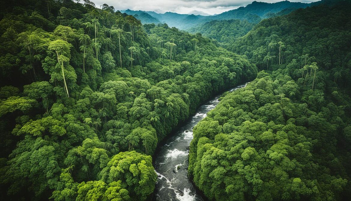 Amazon Rainforest Conservation