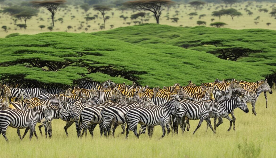 Indigenous Biodiversity Tanzania