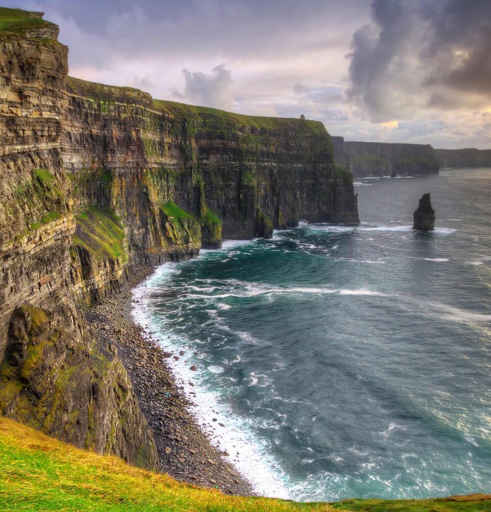Ireland biodiversity