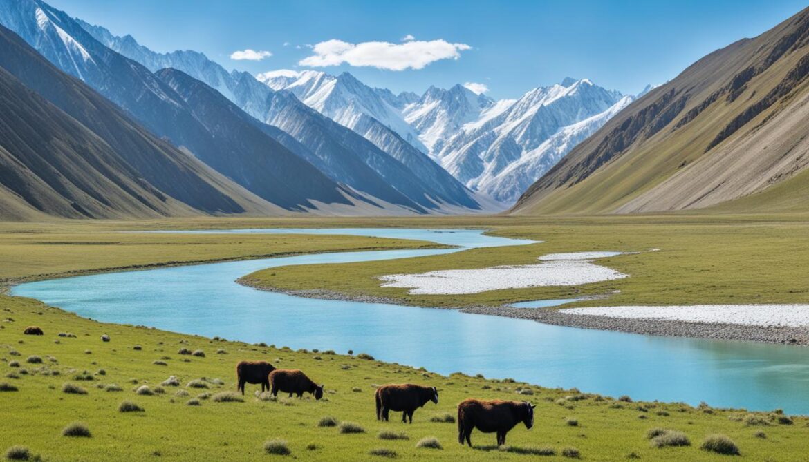 Kyrgyzstan conservation areas
