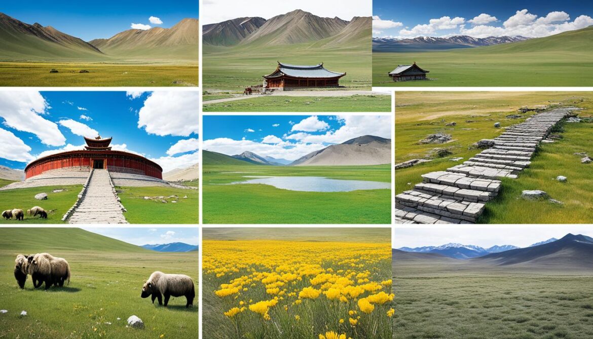 Mongolian sustainable development