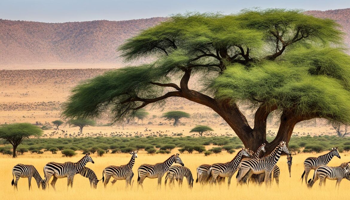 Sudan's Fauna