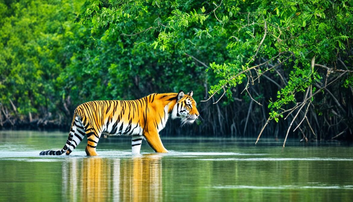 Sundarbans biodiversity