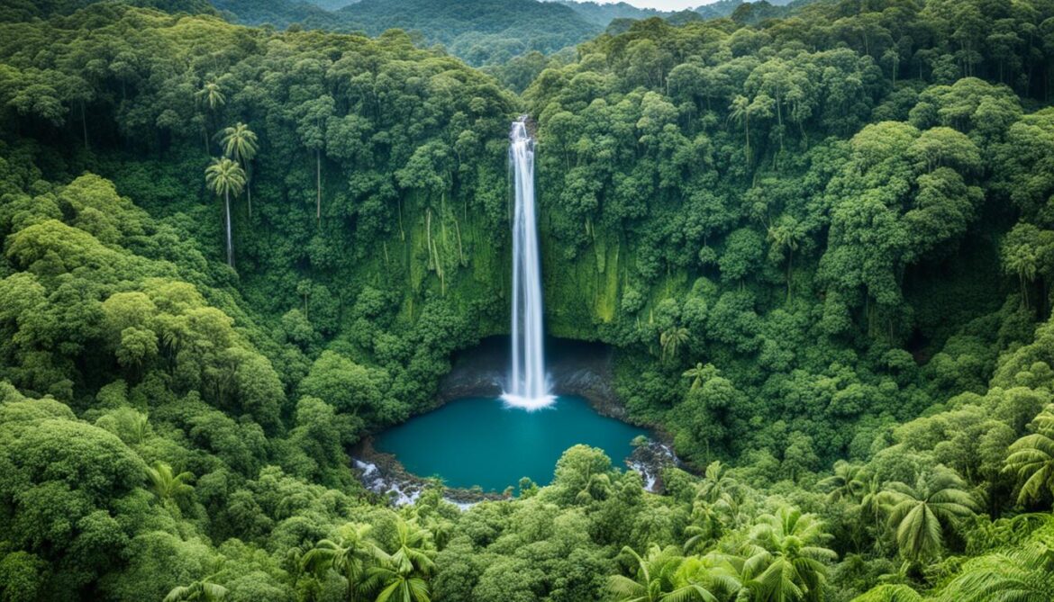 Trinidad and Tobago Sacred Natural Sites and Biodiversity